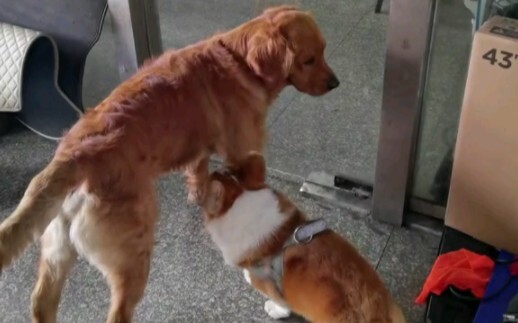 The argument was fierce, but both sides emerged unscathed.
