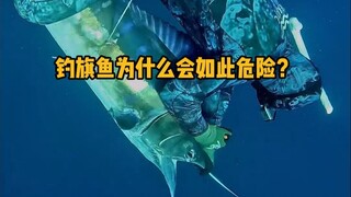 Why is sailfish fishing so dangerous? #Science #FantasticBeasts #Sailfish #Ocean