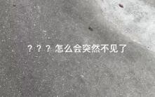 Excuse me, what do the two “wo cāo” respectively mean?