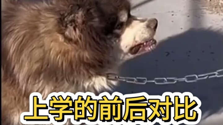 Khu công viên Phan Hồng. Bàn về tầm quan trọng của việc đi học, đến khí chất cũng khác hẳn rồi