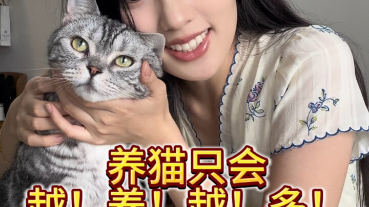 Memelihara kucing hanya ada dua pilihan: nol ekor atau tak terhitung banyaknya.