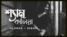 শ্যাম কালিয়া Sem Khaliya Sona Bondhure Slowad Reberb Bangla sad 😔 2025