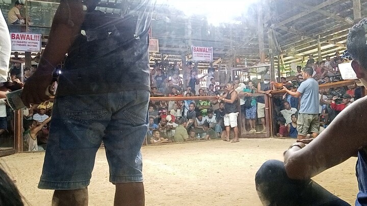 JJV GF entry 2. first fyt win