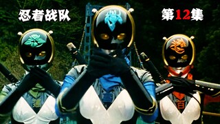 【特摄解说】首支全女性邪恶战队登场，花之女忍配合酒吞童子，隐连者迎来团灭危机