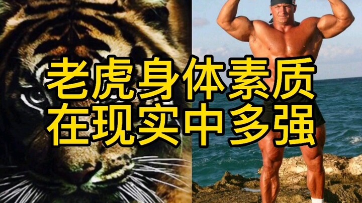 Seberapa kuat sebenarnya kondisi fisik harimau? Ayo adu!