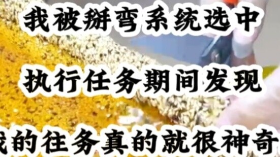 Tôi đã được hệ thống ngự thuật lựa chọn và trong quá trình làm nhiệm vụ, tôi phát hiện ra rằng quá k