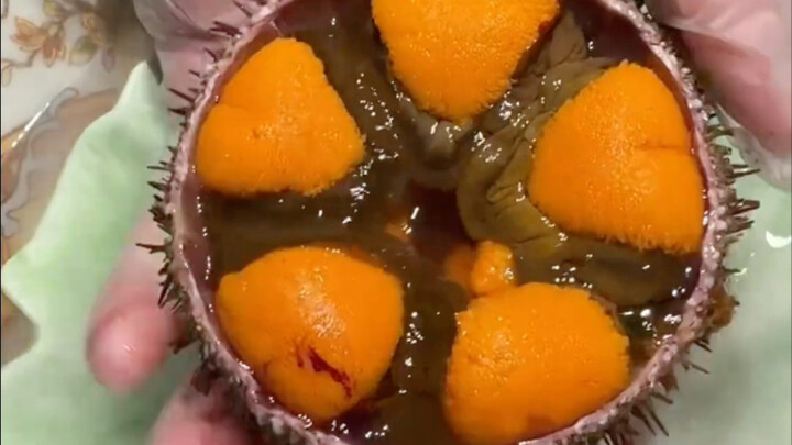 ทำไมหอยเม่นถึงวิวัฒนาการให้อร่อยขนาดนี้ แถมยังมีจานในตัวด้วย?