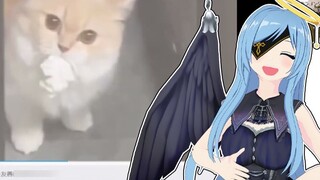 Japan's Clear Angel Watches "Cats: Oops, We Got Tricked"