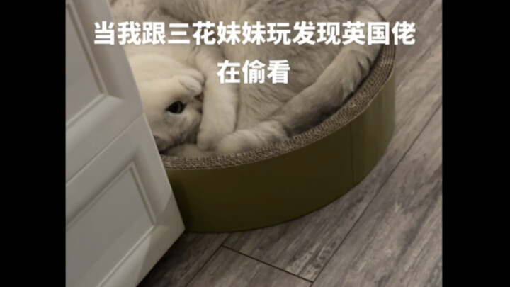 ชาวอังกฤษ: ฉันน่าจะยังไม่ถูกจับได้นะ
