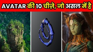 Avatar मूवी की 10 चीज़े, जो असल में है | 10 Mind Blowing Avatar Facts | Facts | #shorts