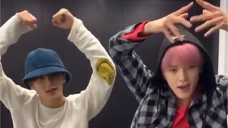 [NCT] أصدرت وكالة D مقطع فيديو تهنئة بعد تجاوز عدد المعجبين 5 ملايين، وقائد معجبي NCT Xiao Lao D متو