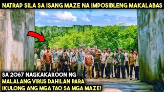 Sa 2067 NAGKAKAROON NG MALALANG VIRUS DAHILAN PARA ILAGAY ANG TAO SA MGA MAZE! |TAGALOG MOVIE RECAP