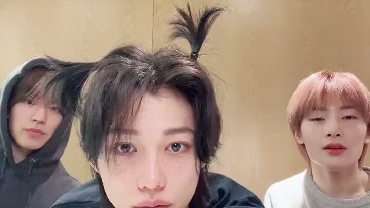 The world's cutest little chick with an apple-shaped head—so cute, sorry! challenge [Li Longfu Felix