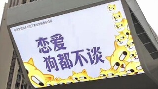 属实是人间清醒了
