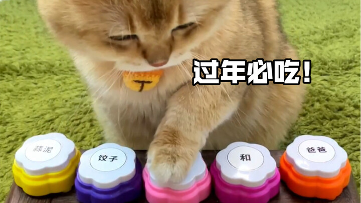 What family doesn’t eat a big meal during the New Year…?