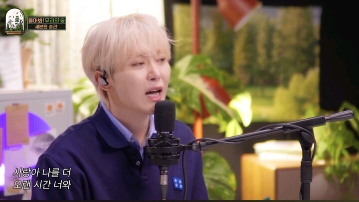 seungkwan seventeen 🥰