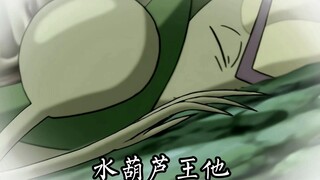 “水葫芦 那水葫芦王呢？”