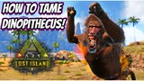 HOW TO TAME THE DINOPITHECUS AND ALL OF ITS ABILITIES!! || Ark Lost Island!