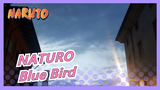 NATURO|Adaptation of "Blue Bird" - Piano Version