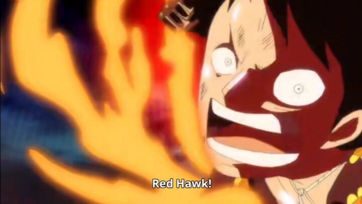 Luffy red hawk