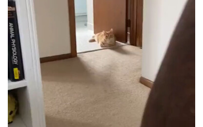 أنصحك أن تمسك هاتفك بثبات.