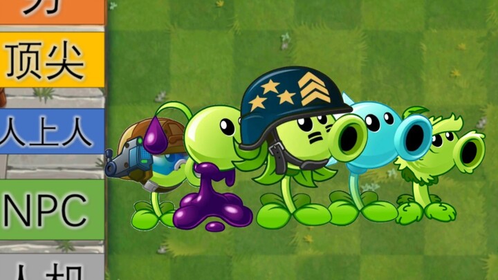 Loạt bình luận sắc bén về gia đình Đậu Hà Lan