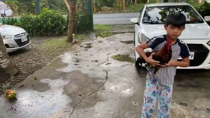 Navajero Gilmore VS McLean Hatch