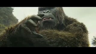 Kong Vs Giant Squid  Fighting scene Kong skull Island 2017 movie clips