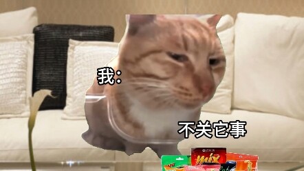 แม่ หนูไม่ได้ไอค่ะ