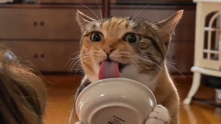 อยากเจอ อยากเจอ อยากเจอเธอ!