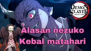 Mengapa nezuko kebal terhadap matahari ?? | Demon slayer