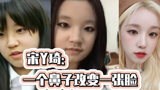 A nose changes a face