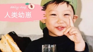 【Felix】【straykids】来看满级人类幼崽小菲～