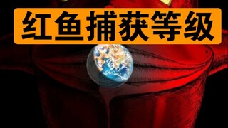 【美食的俘虏】这条红鱼的捕获等级，大概是多少？