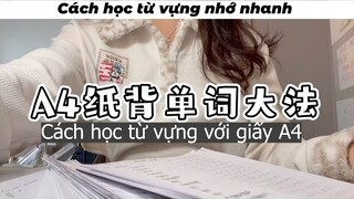 Cách học từ vựng từ tờ giấy A4 #tip #doisong #study
