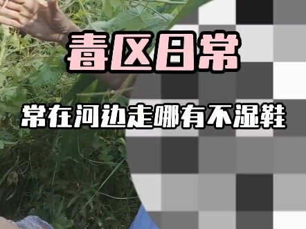 No regrets—just the calm acceptance of “you win some, you lose some.” #LureFishing #CrucianCarpFishi