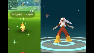 Torchic Community Day, Finally shiny Blaziken in Pokemon Go