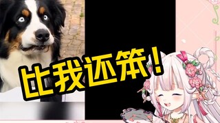 白菜看《脑子是个好东西，可惜不是每个狗都有》发现还没自己聪明