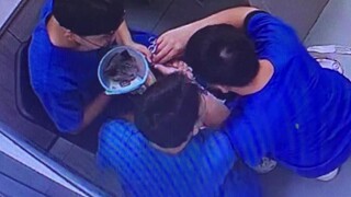 Tài khoản của tôi, con ngựa của tôi, tôi có thể làm bất cứ điều gì tôi muốn với nó