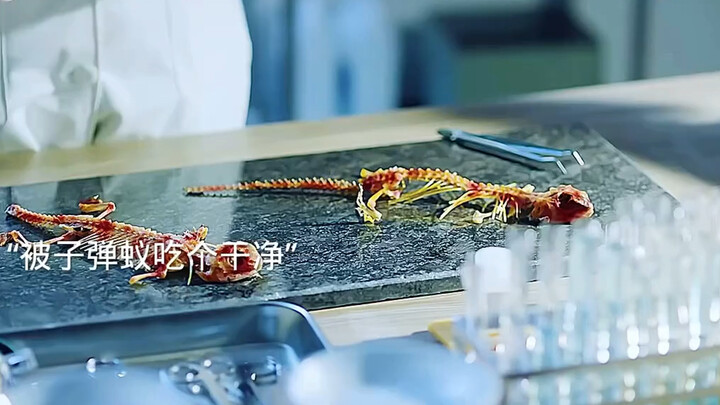 ما مدى رعب نملة الرصاص؟ ستعرف بعد مشاهدة هذا. ما مدى رعب نملة الرصاص؟ ستعرف بعد مشاهدة هذا.