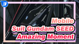 [Mobile Suit Gundam SEED] Amazing Moment!_3