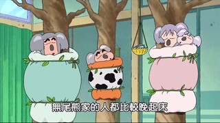 蜡笔小新特别篇：我是无尾熊新之助哦