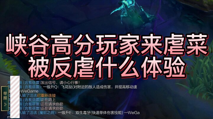 “You’re Soloing the Lane and Crushing It, While Your Jungler and Mid Laner Are Bickering”