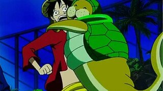 Luffy's apprentice, Kung Fu Manatee, has come to the new world!