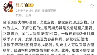 泛式：金毛巡回犬性格温顺、忠诚友善，是家庭的理想宠物。但作为主人，了解它们的生理周期尤其是发情期至关重要。正常来说，金毛犬每年发情1-2次，一般在春季3....