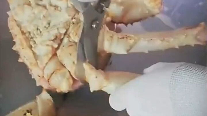 هذا السلطعون الإمبراطوري لا يمكن الاستهانة به