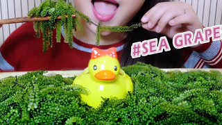 ASMR SEA GRAPES Platter กรุบกรอบสุดๆ LINH-ASMR