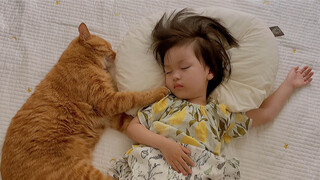 The Orange Cat And The Little Princess