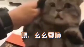 救我！这人指定有猫病！！🐱