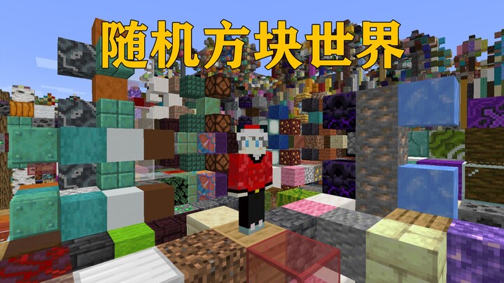 Minecraft: When the Entire World Turns into Random Blocks!!